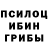 Псилоцибиновые грибы Cubensis Mariia Hastello