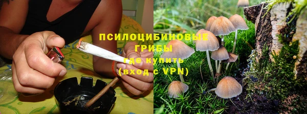 Альфа ПВП Балабаново